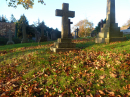 Autumn leaves in the churchyard
